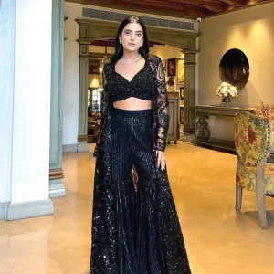 Butterfly Net Indo Western Dress